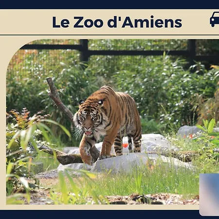 Le Cadre D'or - Confort - Paisible Lägenhet Amiens